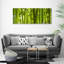 Bamboo - Wrapped Canvas Print