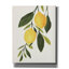 Toile épique «Lemon Branch 1» par Annie Warren, graffiti épique, 26 po x 34 po-1941650494