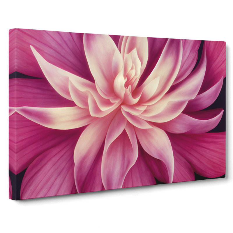 Seductive Carnation Flower - Wrapped Canvas, 50cm H x 76cm W x 3cm D