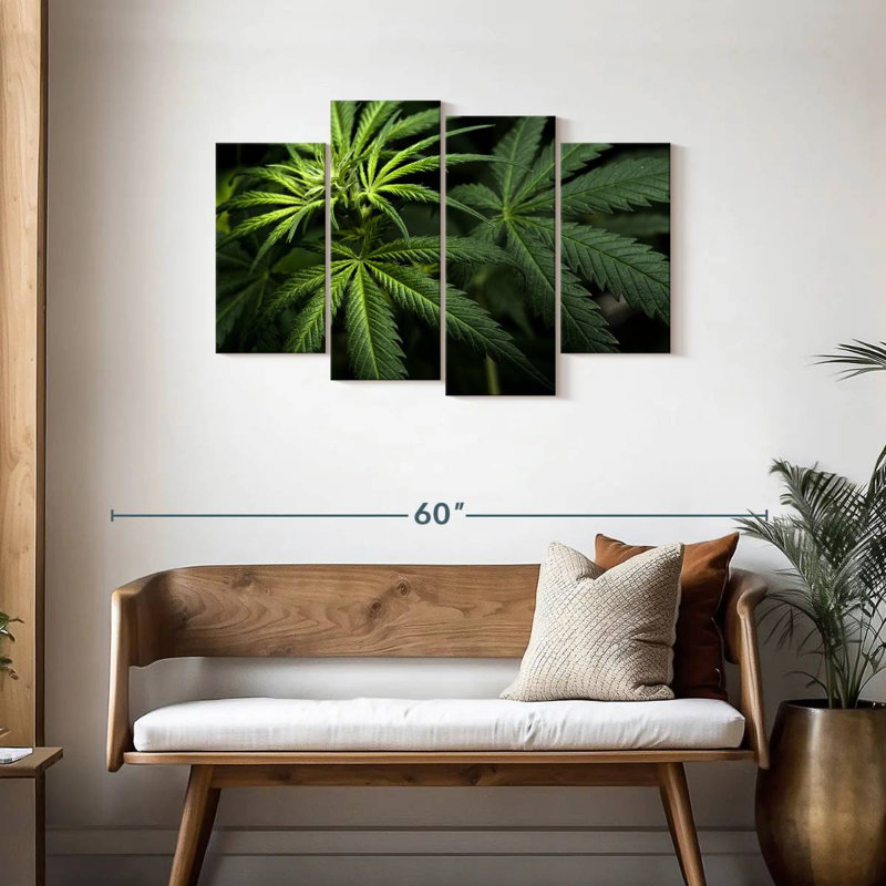 Cannabi dans le noir