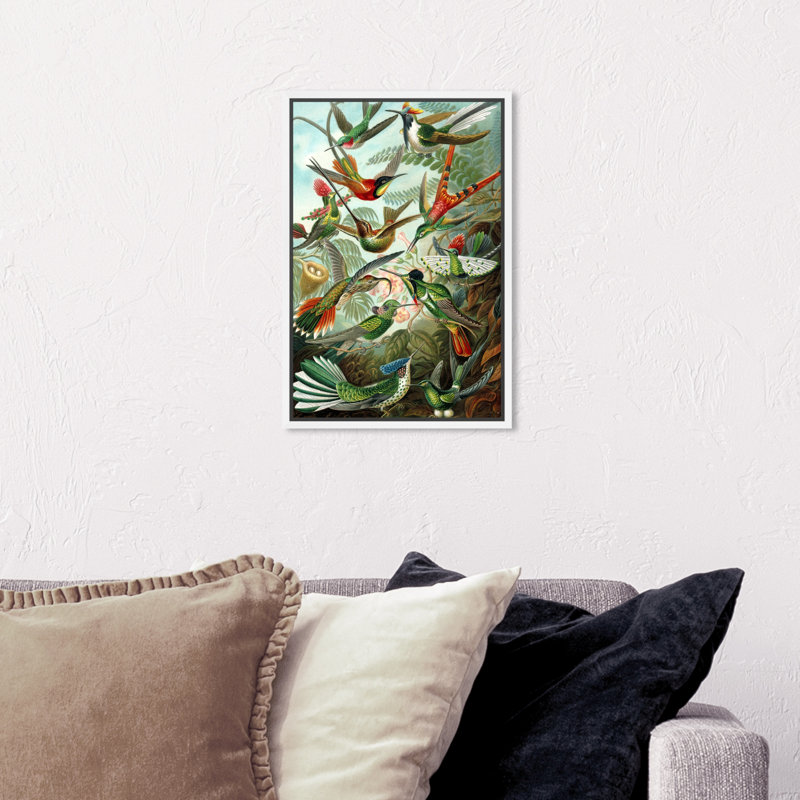 " Haeckel - Bird Study ", White Framed Canvas, 36" H x 24" W