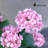 Artificial Pink Hydrangea 24-in