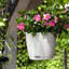 Hanging Planter-16493104-66329965