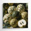 «Fruit Cherimoya Brown», art mural sur toile-114697992