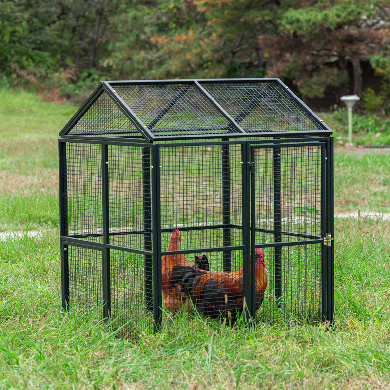 Cage universelle résistante aux intempéries Draupadi, H 48 po x l 37,2 po x P 36 po