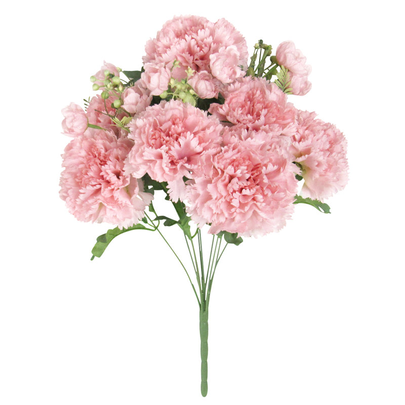Oeillet, Rosé