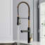Robinet de cuisine Fanwin Star
