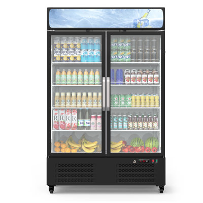 36.3 Cu.Ft Black Upright Commercial Glass Door Refrigerator, LED Beverage Merchandiser with Auto-Close Door, Adjustable Shelves, Precise Temp Control & Locking Casters for Business Use