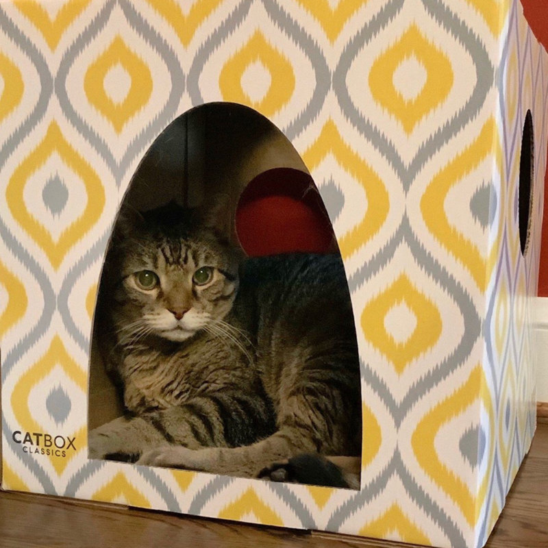 Meow Yellow Cardboard Cat House with Replaceable Scratcher
