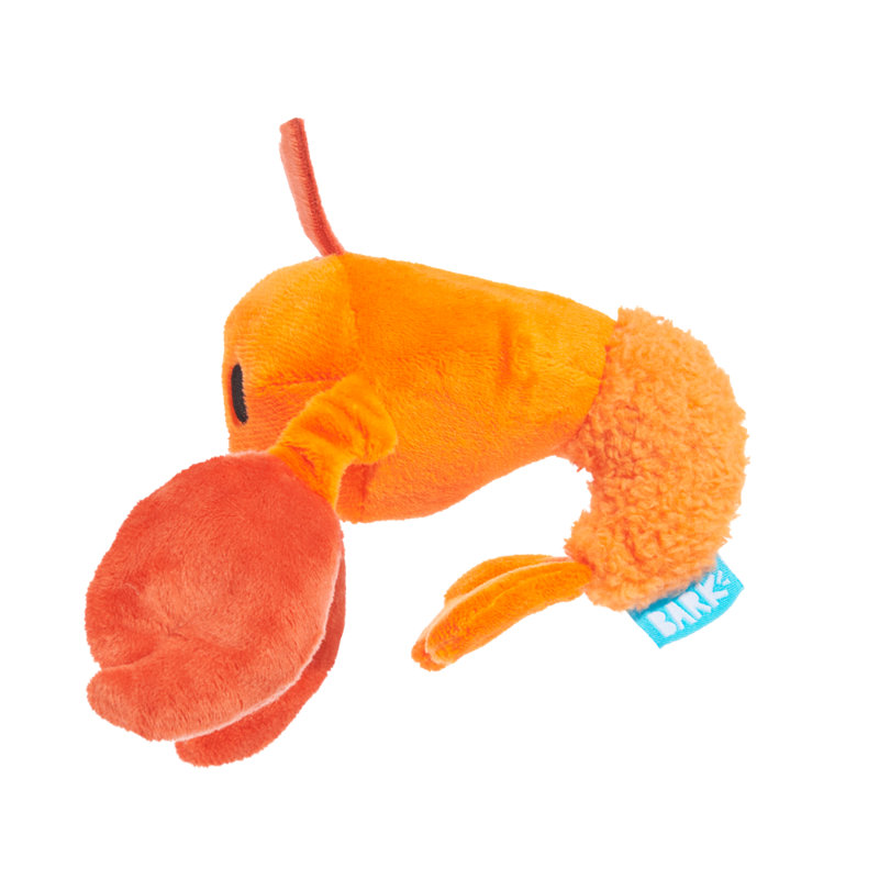 Best Of Bark Box Accessories
