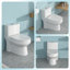 Toilette monobloc en céramique pour salle de bain, 12 po à chasse brute, 1,1 / 1,6 GPF, double chasse avec siège à fermeture en douceur, double chasse puissante CARTE 800G