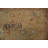 Ziegler Egyptian Accent Rug 2x4