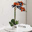 Arrangement floral orchidée dans un vase-86509406