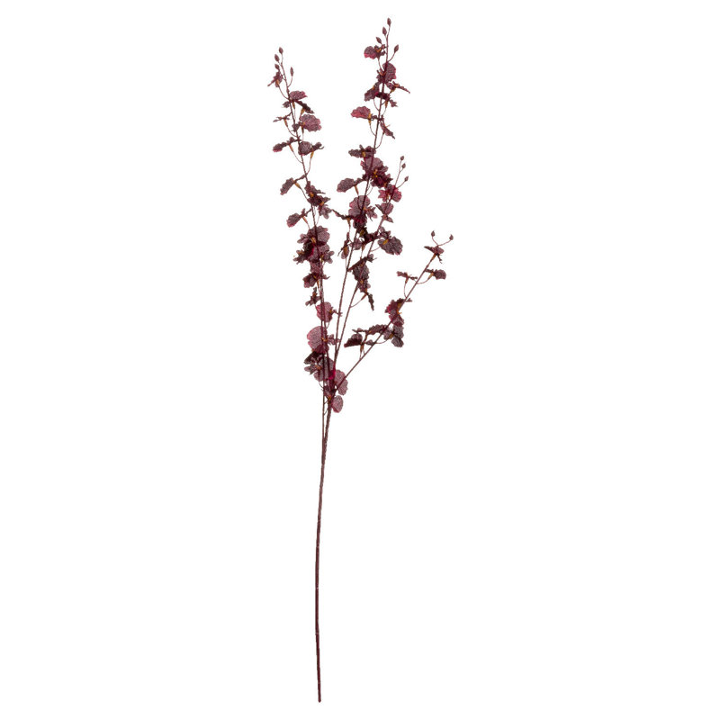 Anastasija Arrangement