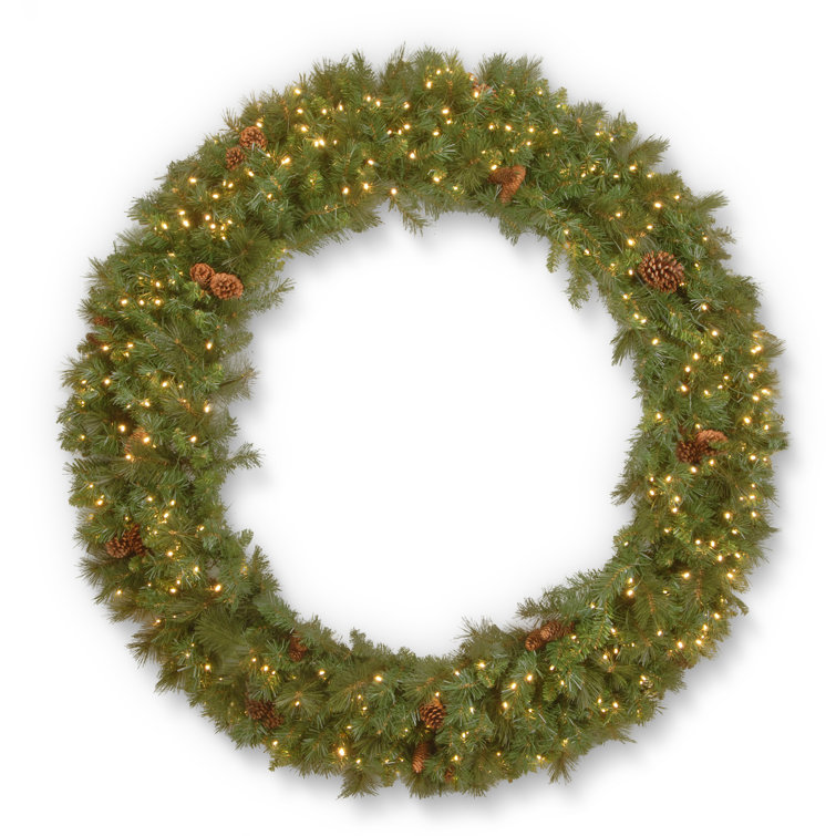 Garwood Lighted Plastic Wreath