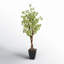 84'' Faux Star Leaf Tree Tree in Metal Planter