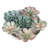 Mixed Assortment Arrangement