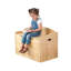 Austin Toy Box-14682935