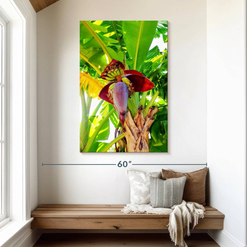 Harnek Banana Palm Heart, H 48 po x l 32 po
