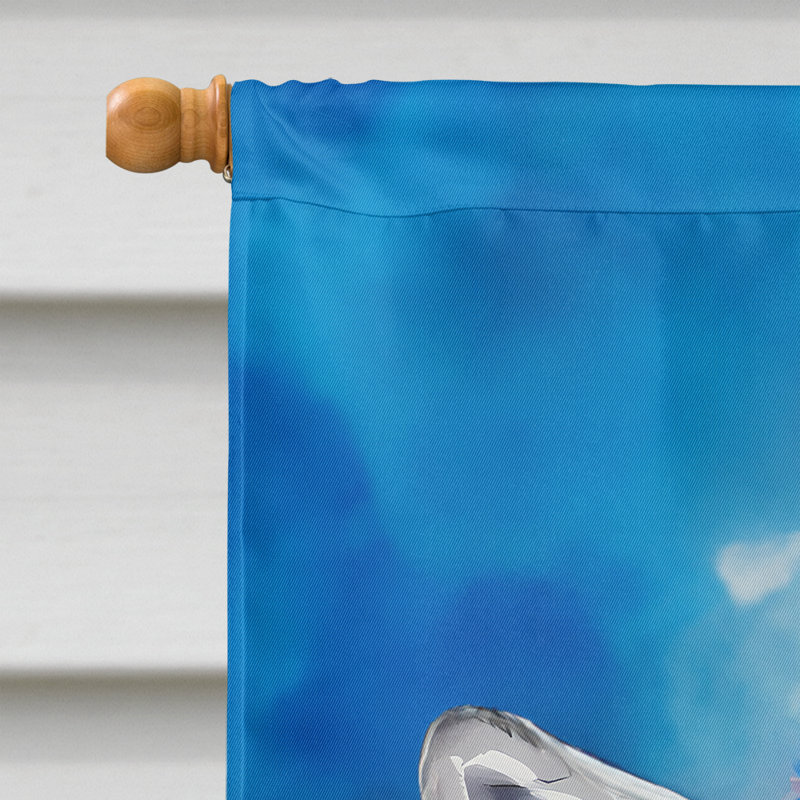 Drapeau de maison de lama hippie