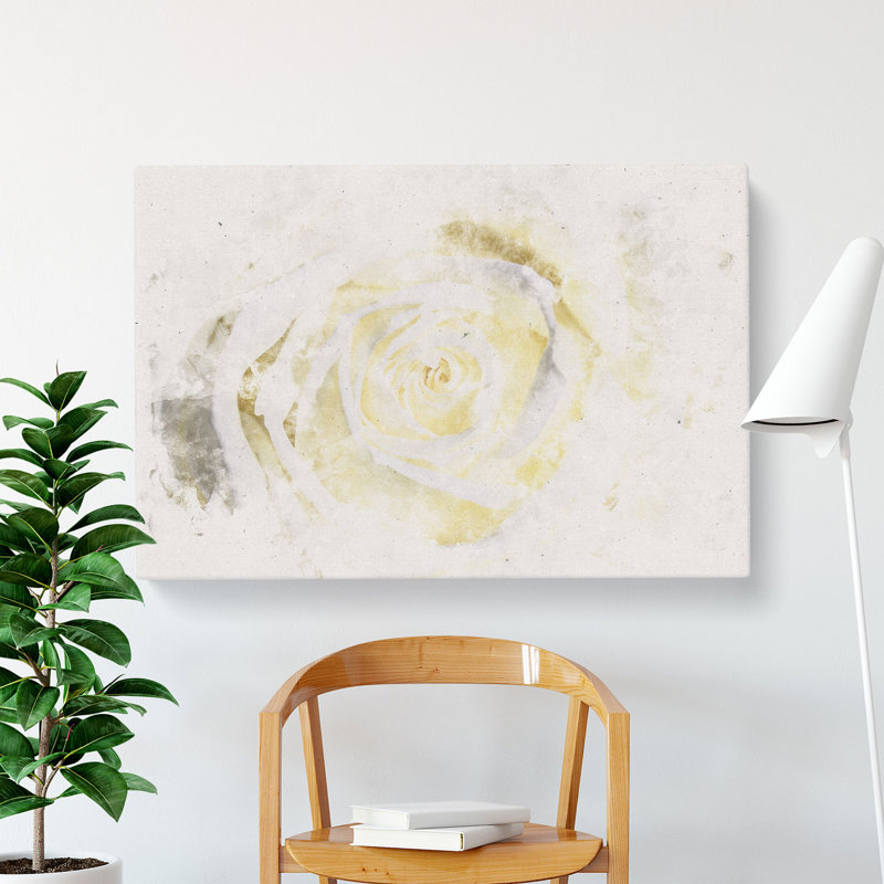 Crisp White Rose - Wrapped Canvas Print, 50cm H x 76cm W x 3cm D