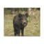 No Frame Print on Canvas-1062892821