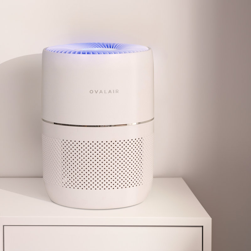 Tabletop Air Purifier with True HEPA Filter