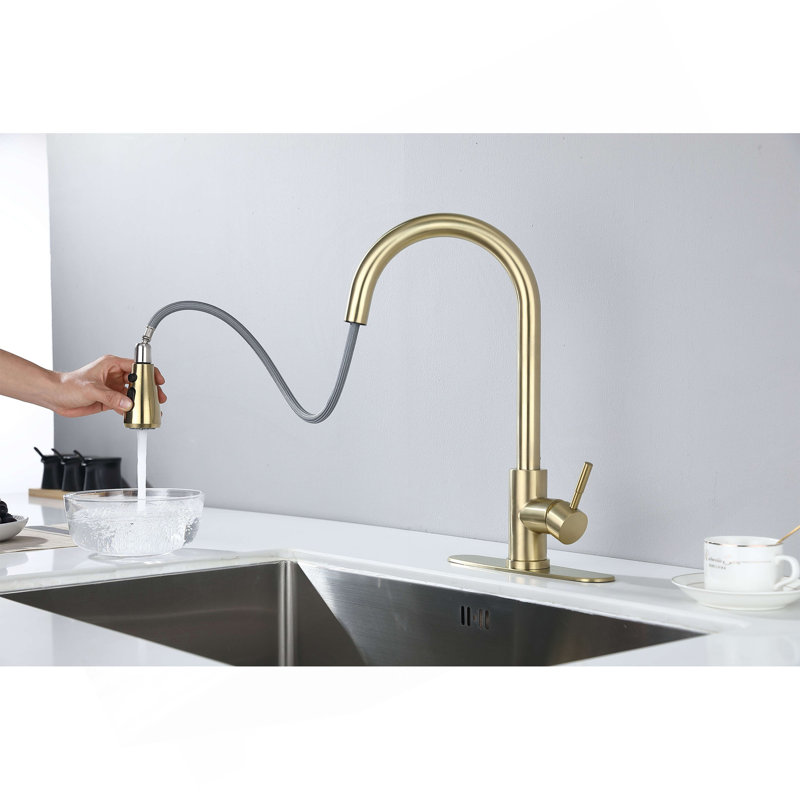Kitchen Faucet With Pull Out Spraye