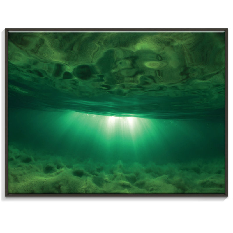 Sticks - Print on Canvas, 41cm H x 51cm W, Black Floater Frame