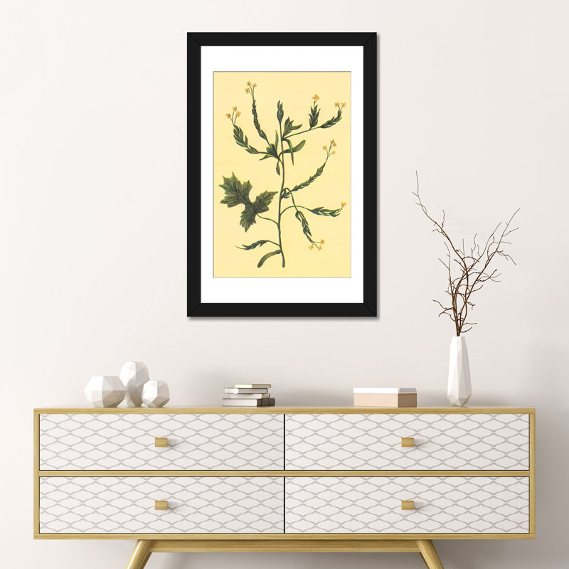 «Hedge Mustard», reproduction sur toile, H 32 po x l 24 po x P 1 po, Papier d'art encadré noir, Blanc