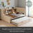 Twin Size Upholstered Daybed With Trundle, Storage Shelves, USB & Outlet-1921892710