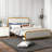Dunkin Upholstered Metal Platform Bed-2144069454