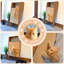 Grattoir mural Wesley, noyer-117545766