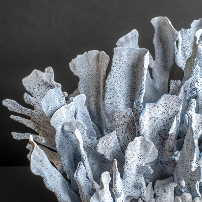 Genuine Blue Ridge Coral (18", 20.5 Lbs)