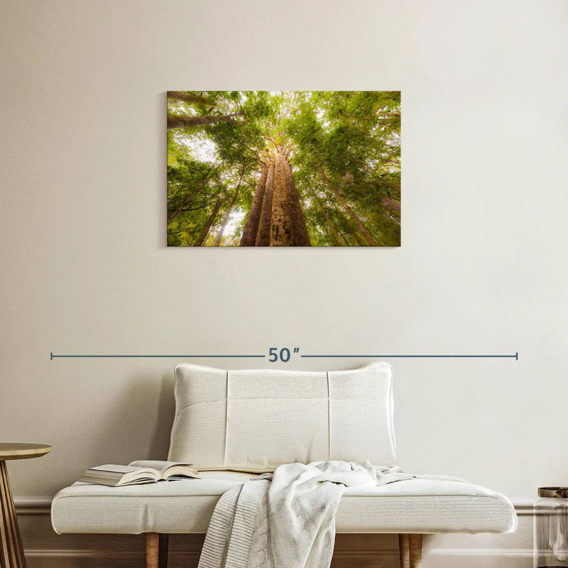 Arbres Harnek Waipoua Kauri, H 20 po x l 30 po