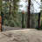 Steel Dual Swing Driveway Gate - MILAN Style-59339134