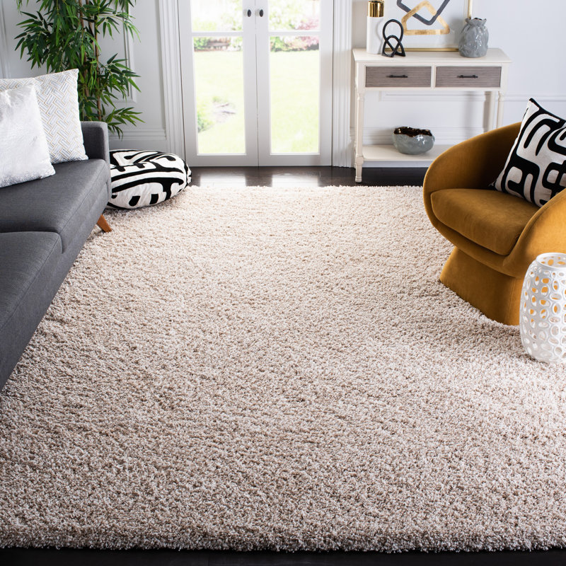 Tapis performance à poil long de couleur unie Vandoren, Rectangle 4pi x 6 pi, Beige