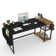 Myra 47" W Home Office Computer Writing Study Desk with Storage Shelves