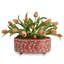 Foral Vine Stone Scallop Planter-255028829