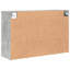 Shoe Cabinet-307641259