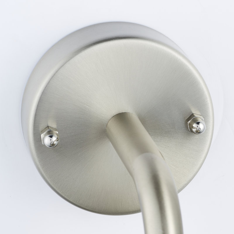 Myla 21cm H Outdoor Barn Light, Brushed Stainless Steel