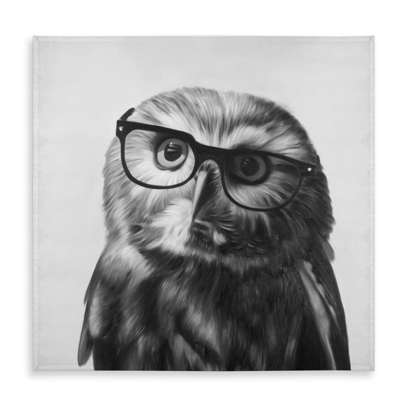 Northern Saw-whet Owl with Glasses Tablecloth | Black Decor