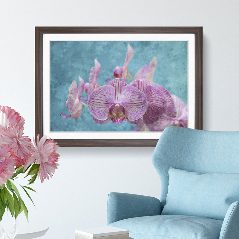Lilac & Pink Orchids - Picture Frame Graphic Art Print, Walnut Framed, 33cm H x 45cm W x 2cm D