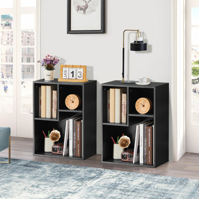 Dorri 2-Tier Modern Bookcase