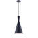 Roberson 1 - Light Single Pendant