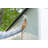 Suncast Tremont 8 ft. x 10 ft. Storage Shed