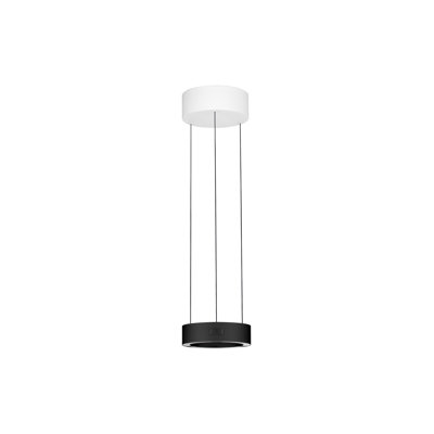 - Light Pendant