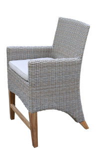Birch Lane™ Nicole Patio Dining Armchair with Cushion | Birch Lane