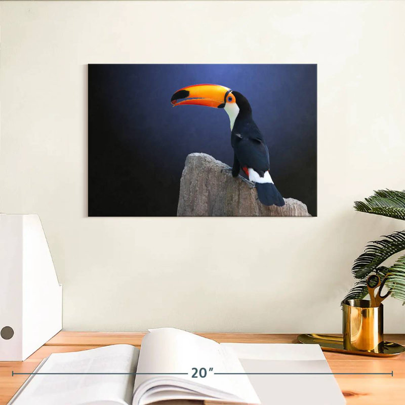 Toucan avec raisin, H 8 po x l 12 po