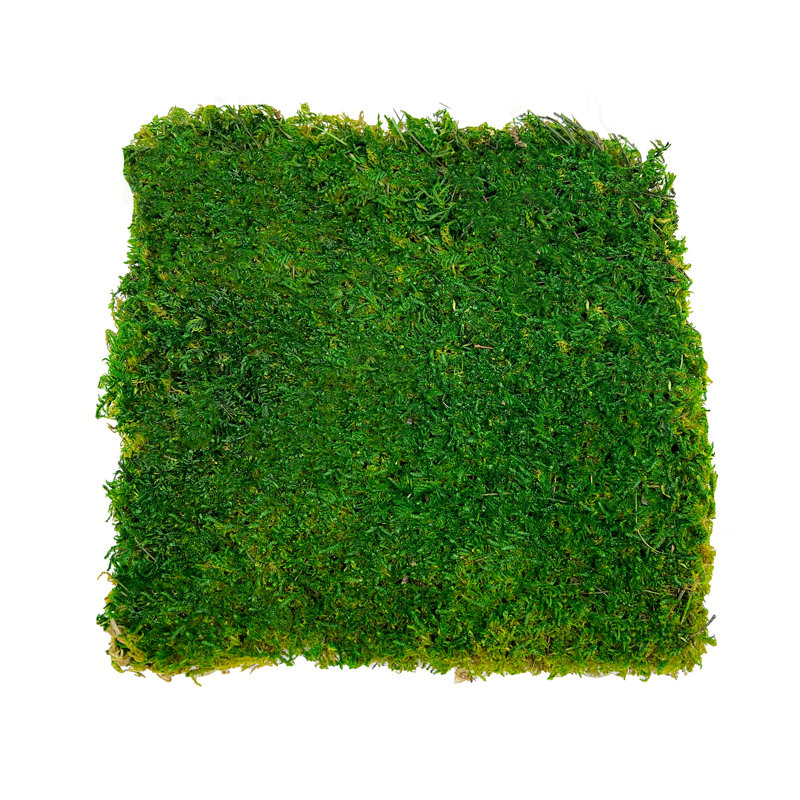 Drap-housse vert mousse 2 pieds carrés
